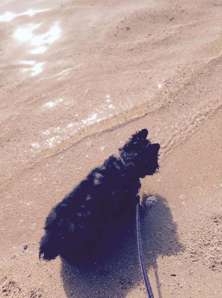 10359015_10152620648706594_223724006152000943_o (1)