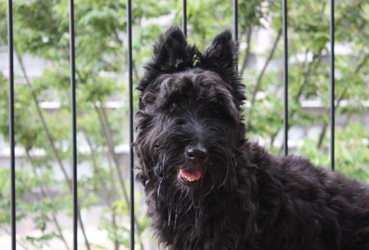 467373_10150964871921594_543145742_o