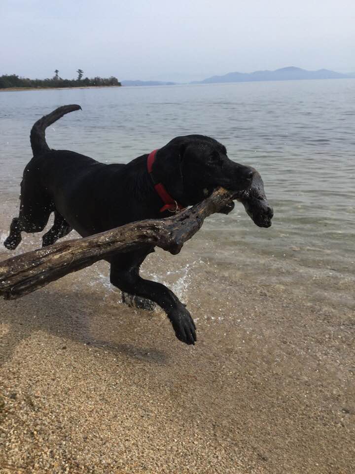 24231774_10154918669851594_953911953127969817_n