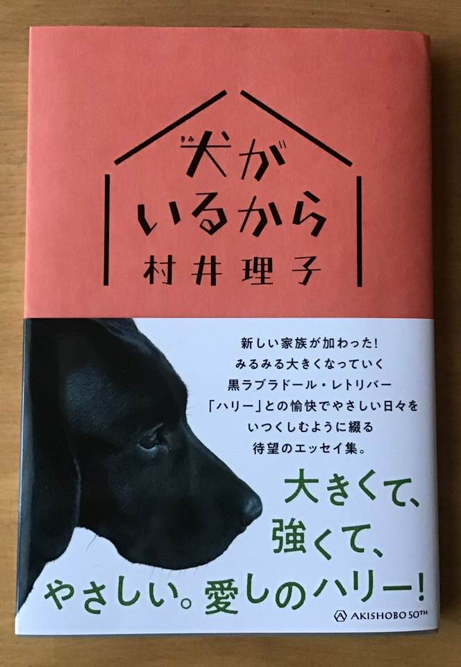 39974406_10155515687546594_3680256973707673600_n